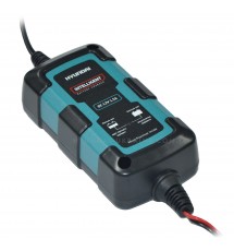 Зарядное устройство Hyundai HY-200